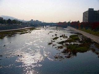 b0009029_225392.jpg