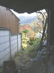 e0062530_2325348.jpg
