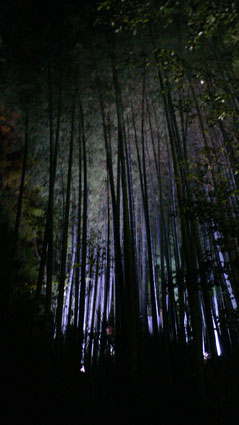 a0051133_12542622.jpg