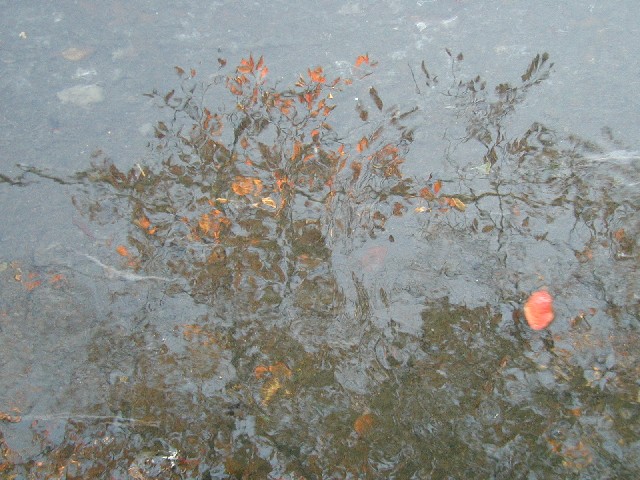 e0083238_2312378.jpg