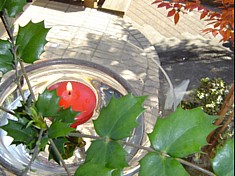e0057248_18372786.jpg