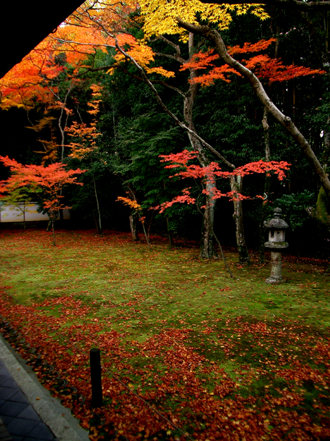 a0024250_21543050.jpg