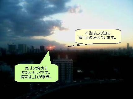 e0063653_1001759.jpg