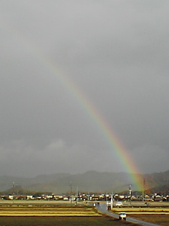 a0040858_2582689.jpg