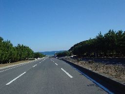 d0043161_20572330.jpg