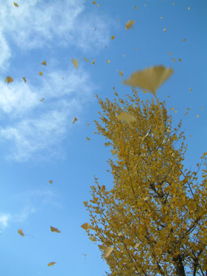 c0050264_21413748.jpg