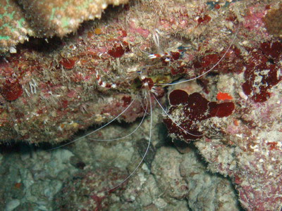 a0002177_011776.jpg