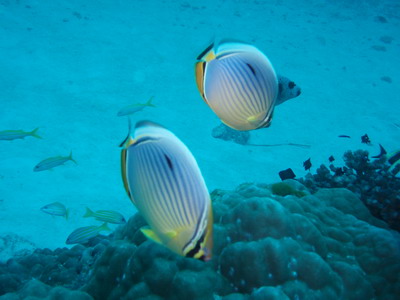 a0002177_02168.jpg