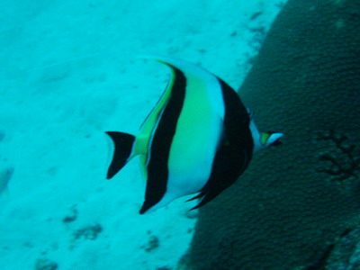 a0002177_023913.jpg