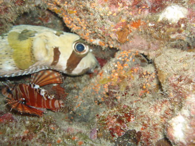 a0002177_21243592.jpg