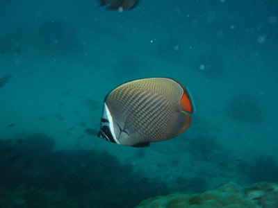 a0002177_21282652.jpg