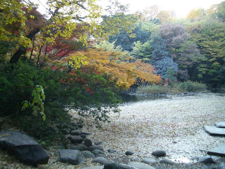c0024980_16533739.jpg