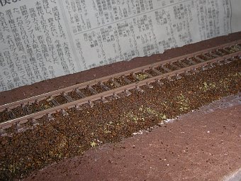 b0062687_9322121.jpg