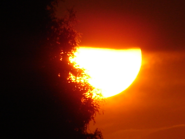 e0005887_22295763.jpg