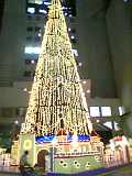 a0064089_19264892.jpg