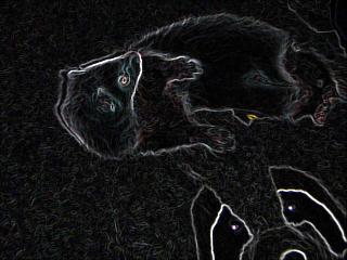 a0018200_151434100.jpg