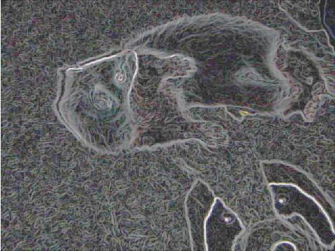 a0018200_15144746.jpg