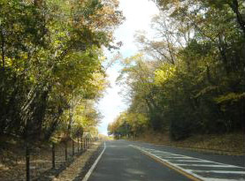 c0011009_2113722.jpg