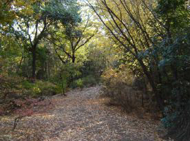 c0011009_21142640.jpg