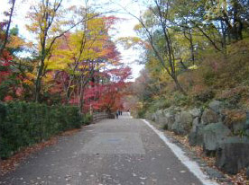 c0011009_2123732.jpg