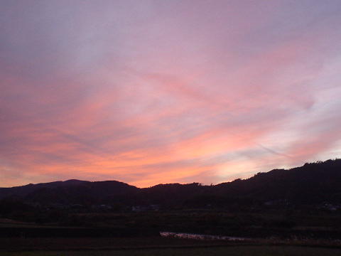 d0040609_1023181.jpg