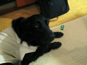 c0012120_12188.jpg