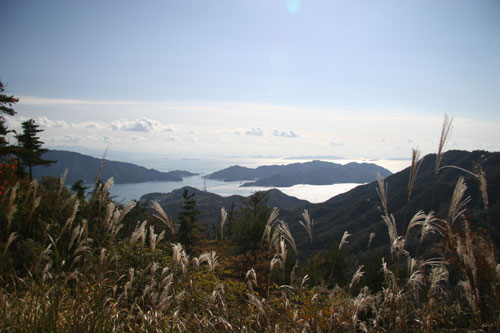 d0036630_2012203.jpg