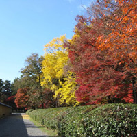 d0033734_1243745.jpg