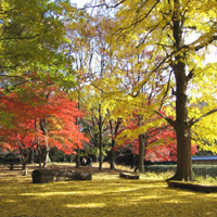 d0033734_1252513.jpg