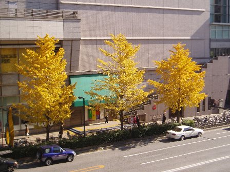 c0012640_16502437.jpg