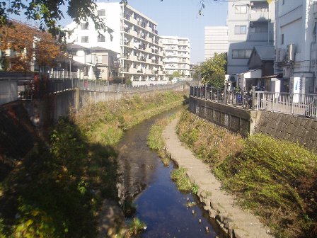 c0012640_172306.jpg