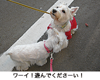 e0077142_0401424.jpg