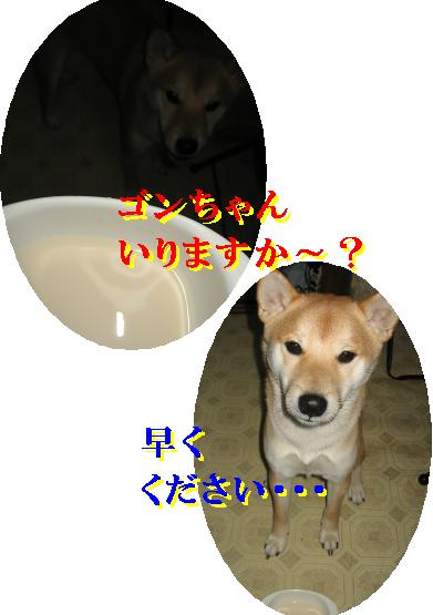 e0085147_0241635.jpg