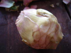 c0068149_1820824.jpg