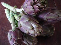 c0068149_184992.jpg