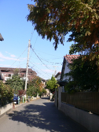 d0013149_2153069.jpg