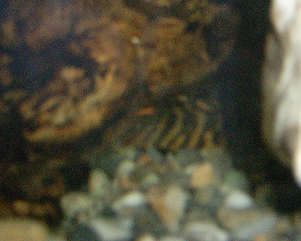 e0072757_2318173.jpg