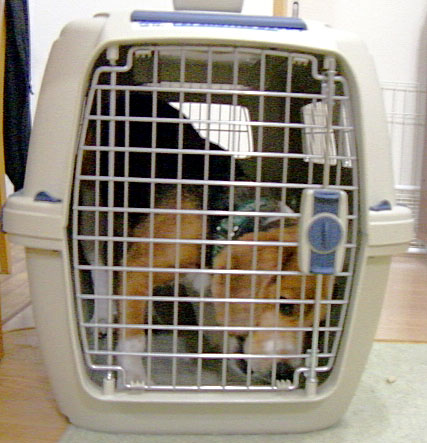e0007060_22255155.jpg