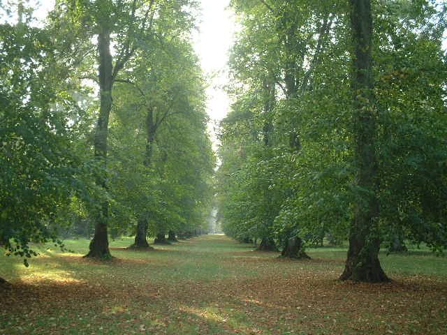 e0078564_19342815.jpg