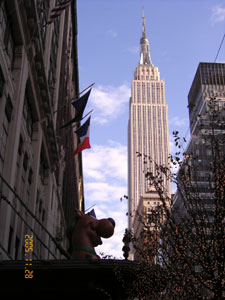 a0063472_8555846.jpg