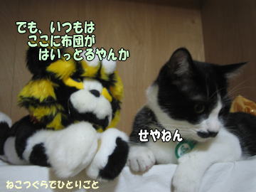 b0041182_8594264.jpg