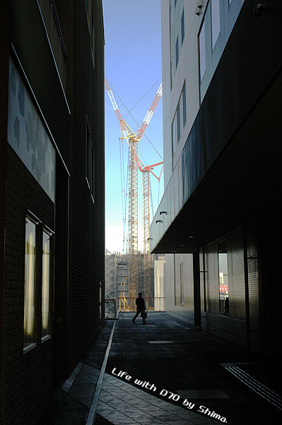 c0036283_17124547.jpg