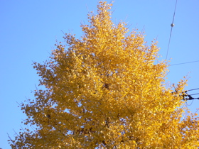 a0056686_14361326.jpg