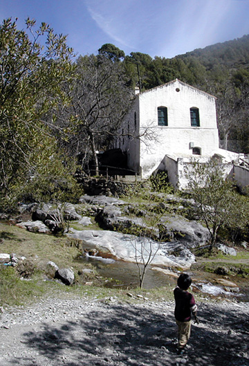 e0023086_855142.jpg