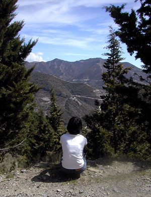 e0023086_861812.jpg