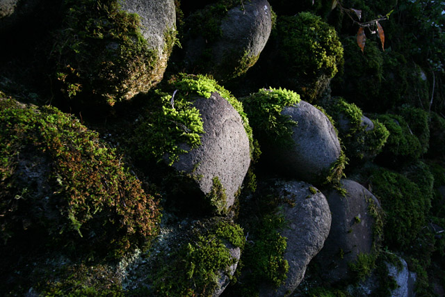 b0067789_23411929.jpg