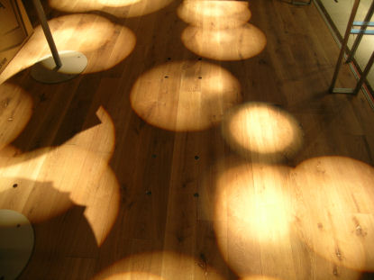d0026998_1048638.jpg