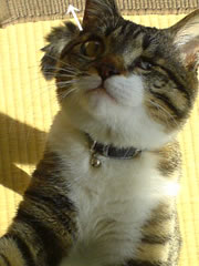 c0035001_22262275.jpg