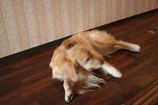 e0072606_23223840.jpg