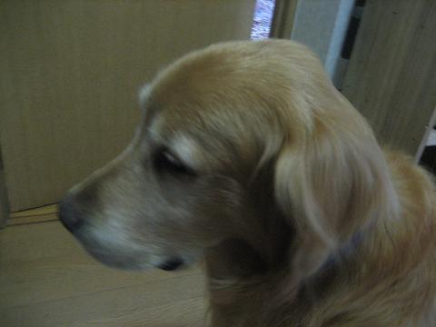 a0064213_22265289.jpg